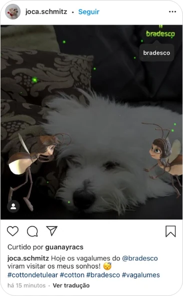 Post de quem recebeu os vagalumes em casa e compartilhou nas redes sociais