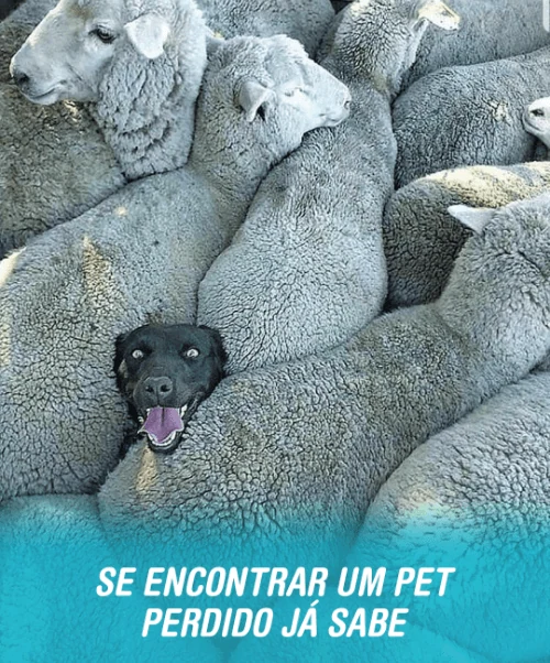 Post criado pela Bú para as redes sociais de um cliente