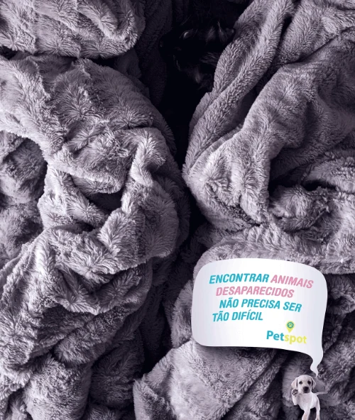 Post criado pela Bú para as redes sociais de um cliente